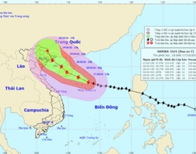 Bão chồng bão: Bão Sarika chưa vào, siêu bão Haima đã xuất hiện