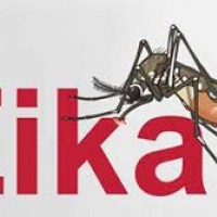 Tiểu thương cản trở phun thuốc diệt muỗi phòng bệnh Zika