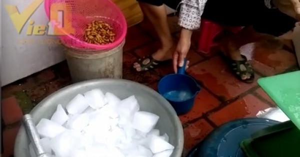 Nhộng tằm thối đen hóa trắng bằng thuốc tẩy
