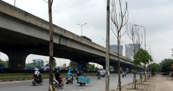 Thông tin chính thức vụ cây mới trồng chết khô hàng loạt trên đường Nguyễn Xiển