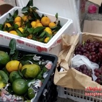 Nghệ An: Bắt 1,8 tấn trái cây nhập lậu từ Trung Quốc