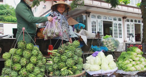 Hàng Trung Quốc 'hô biến' thành nông sản Đà Lạt