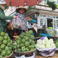 Hàng Trung Quốc 'hô biến' thành nông sản Đà Lạt