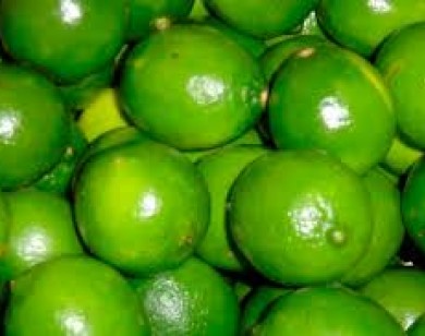 Mưa gió kéo dài, chanh giảm giá còn 10.000 đồng/kg