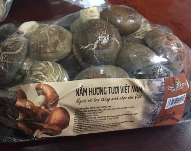 Siêu thị đồng loạt cấm cửa nấm hương