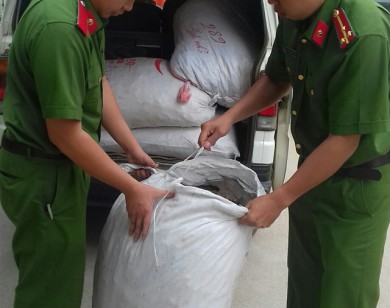 Lạng Sơn: 1,5 tấn thuốc bắc nhập lậu bị bắt giữ