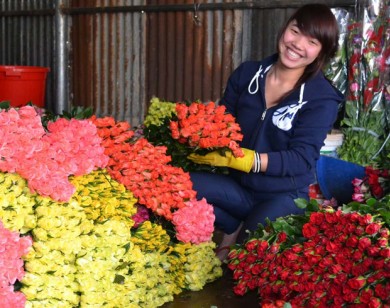 Giá hoa Đà Lạt tăng mạnh