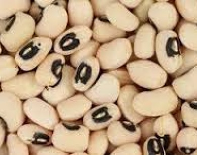 Kéo dài chân bằng 14 thực phẩm đậm chất canxi