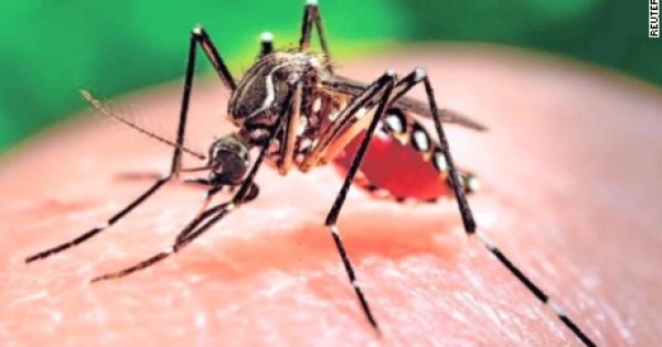 Virus Zika lan rộng 16 quận huyện Sài Gòn