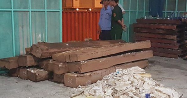 Thu giữ hơn 600kg ngà voi nhập lậu tại cảng Cát Lái