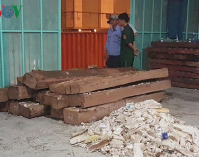 Thu giữ hơn 600kg ngà voi nhập lậu tại cảng Cát Lái