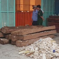 Thu giữ hơn 600kg ngà voi nhập lậu tại cảng Cát Lái