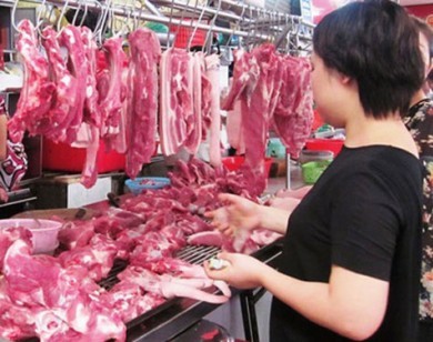TP.HCM lo không đủ thịt sạch cung cấp cho tết Nguyên đán
