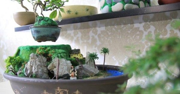 Bonsai tiền triệu bay lơ lửng hút khách Sài Gòn