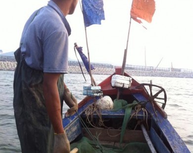 Cá ít, ngư dân loay hoay chuyện bỏ thuyền