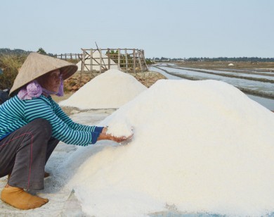 Phát triển vùng muối Sa Huỳnh theo hướng công nghiệp sạch