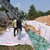 Quảng Bình: Tiêu hủy hơn 600 tấn hải sản có hàm lượng Cadimi vượt ngưỡng