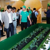 Vingroup ký thỏa thuận hợp tác với 250 hợp tác xã và hộ sản xuất