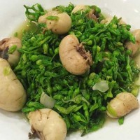 Nguồn gốc bí ẩn 'thần dược' ngọc kê bán tràn Hà Nội