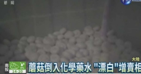 Nhà cung cấp Trung Quốc dùng hóa chất làm tươi nấm