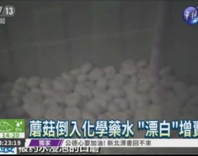 Nhà cung cấp Trung Quốc dùng hóa chất làm tươi nấm