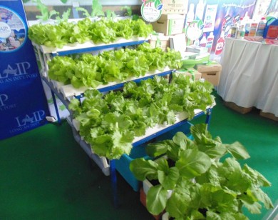 Chung tay, nỗ lực đưa Việt Nam trở thành quốc gia nông nghiệp hàng đầu thế giới