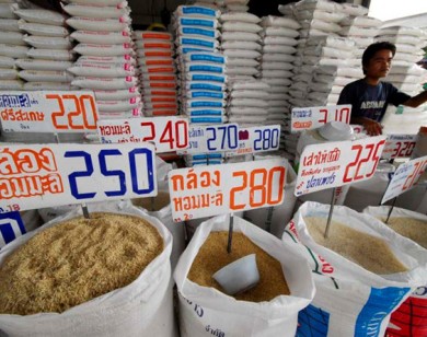 Trường đại học Thái Lan thu học phí bằng... gạo