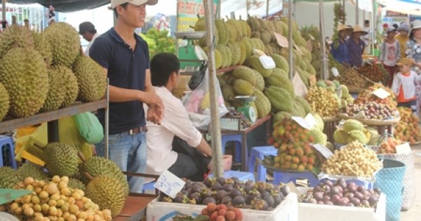 ĐBSCL: Mất mùa, trái cây khan hàng, giá cao trong dịp cận Tết