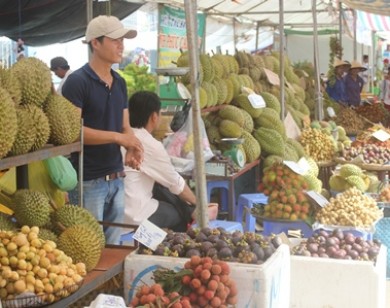 ĐBSCL: Mất mùa, trái cây khan hàng, giá cao trong dịp cận Tết