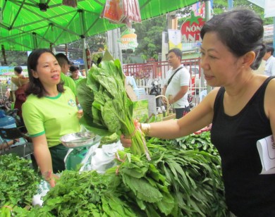 Nông sản sạch sản xuất theo tiêu chuẩn VietGap ế do đâu?