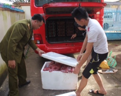 Đắk Lắk: Bắt gần 200 kg thịt hôi thối trên xe khách