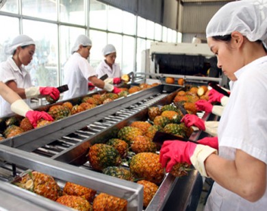 Nông sản Việt Nam có triển vọng thâm nhập thị trường Mỹ, Nhật, Hàn Quốc