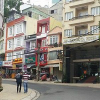 Đà Lạt 'cháy' phòng nghỉ dịp Tết, giá tăng gấp đôi