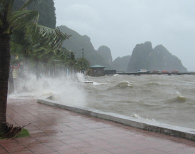 Dự báo thời tiết 15/01: Áp thấp tiến sát đảo Phú Quý, mưa lớn tại Nam Trung Bộ