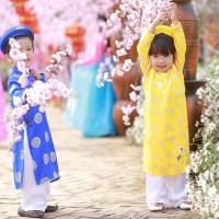12 con giáp nên mặc áo màu gì vào mùng 1 Tết để có 1 năm MAY MẮN, TIỀN TÀI RỦNG RỈNH