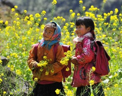 Thời tiết 3 ngày Tết Nguyên đán năm Đinh Dậu 2017: Ngày khá đẹp, ấm áp, tối se lạnh