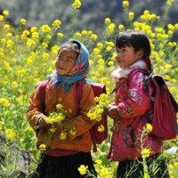 Thời tiết 3 ngày Tết Nguyên đán năm Đinh Dậu 2017: Ngày khá đẹp, ấm áp, tối se lạnh