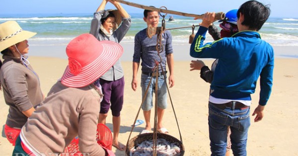 Cá khoai giá chẳng hề 'khoai'