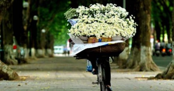 Dự báo thời tiết 16/02: Bắc Bộ sáng sớm mưa, trưa chiều nắng ấm