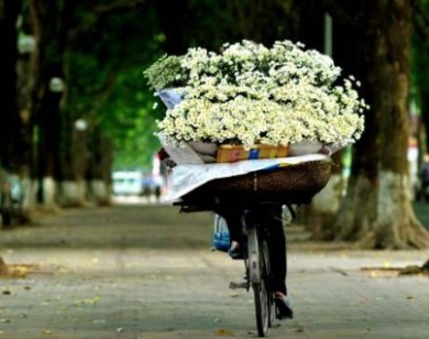 Dự báo thời tiết 16/02: Bắc Bộ sáng sớm mưa, trưa chiều nắng ấm