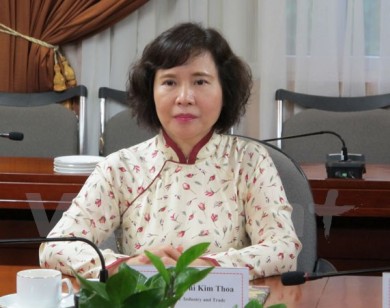 Tổng Bí thư chỉ đạo kiểm tra nội dung báo nêu về Thứ trưởng Hồ Thị Kim Thoa