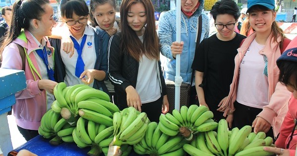 TP.HCM: Cùng sinh viên "giải cứu" chuối cho nông dân