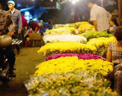 Chợ hoa Hồ Thị Kỷ có phải rào cản cho chủ trương phát triển thành phố?