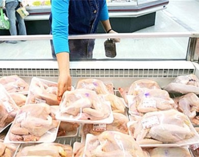 Ngành chăn nuôi Việt Nam 'khốn đốn' vì đùi gà Mỹ nhập về chỉ có 7.000 đồng/kg