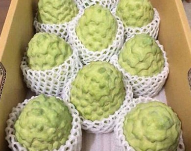 Dân sành ăn lùng mua na 'khủng' 300.000 đồng/kg