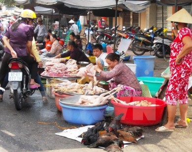 Giá thịt lợn hơi tăng nhẹ trong khi giá thịt gia cầm giảm sâu