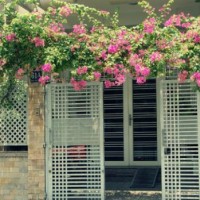 Vì sao để nhà hướng bắc bạn sẽ hối hận cả đời?