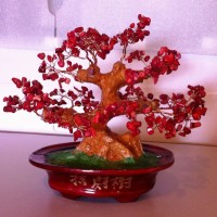 Chỉ cần có 1 trong 4 vật này trong nhà sẽ rinh tài lộc, may mắn đến cho gia chủ