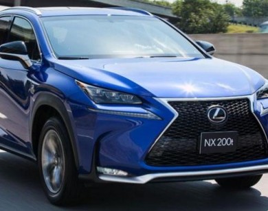 Đến lượt 276 xe Lexus NX200t bị triệu hồi tại thị trường Việt Nam