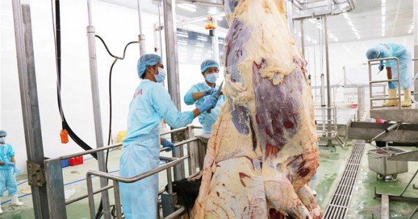 Tạm ngừng nhập khẩu thịt và sản phẩm thịt từ Brazil, cần cẩn trọnng mua bán qua mạng